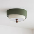 Modern Minimalist Ceiling Lamp Clean Line Flush for Bedroom Living Room | Esilora