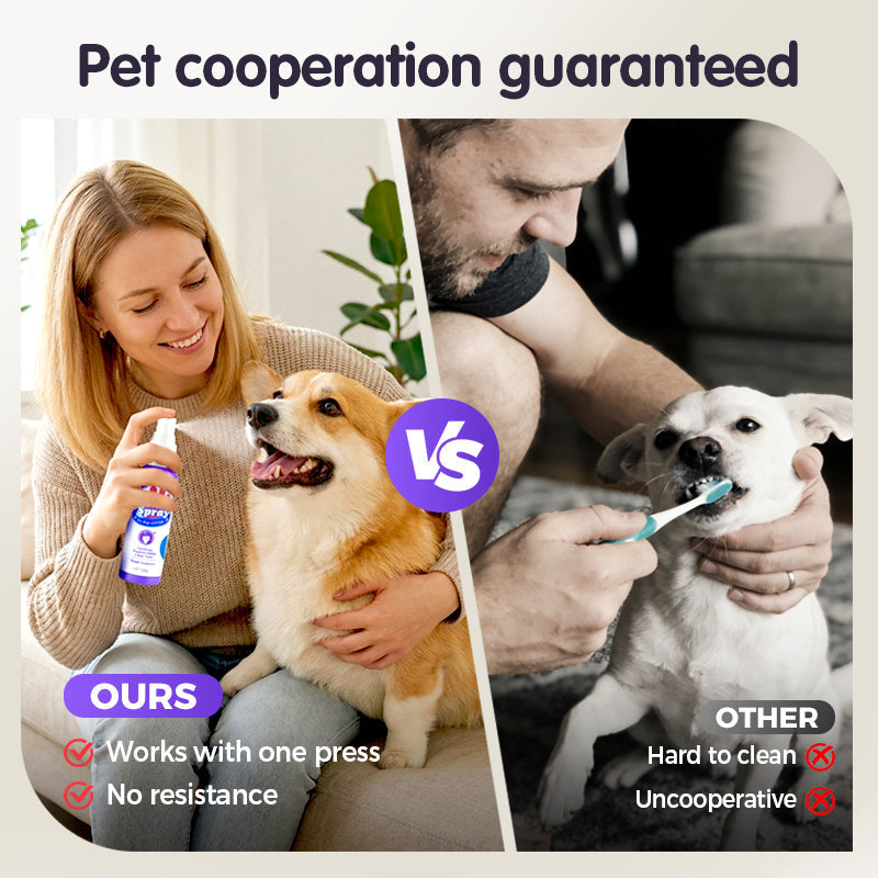 PurePaw — Sparkling Fresh Breath and Effortless Smiles for Your Beloved Pet - Esilora