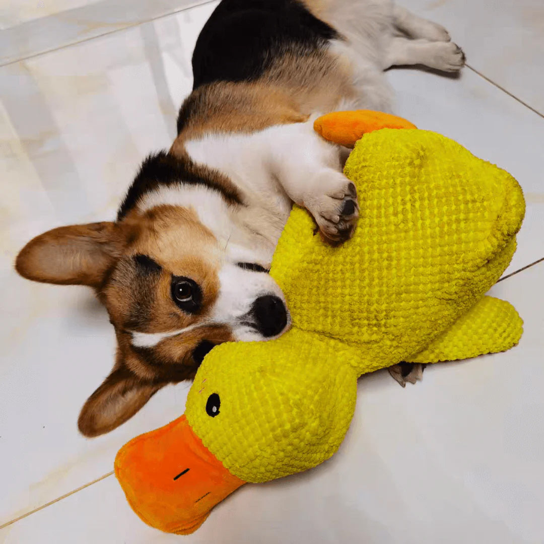 Soft Calming Dog Toy for Comfort and Mental Stimulation - Esilora