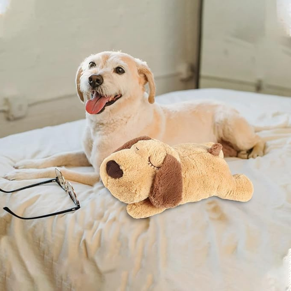 SnuggleBeat Calming Heartbeat Puppy Dog Plush Toy — Removable Module