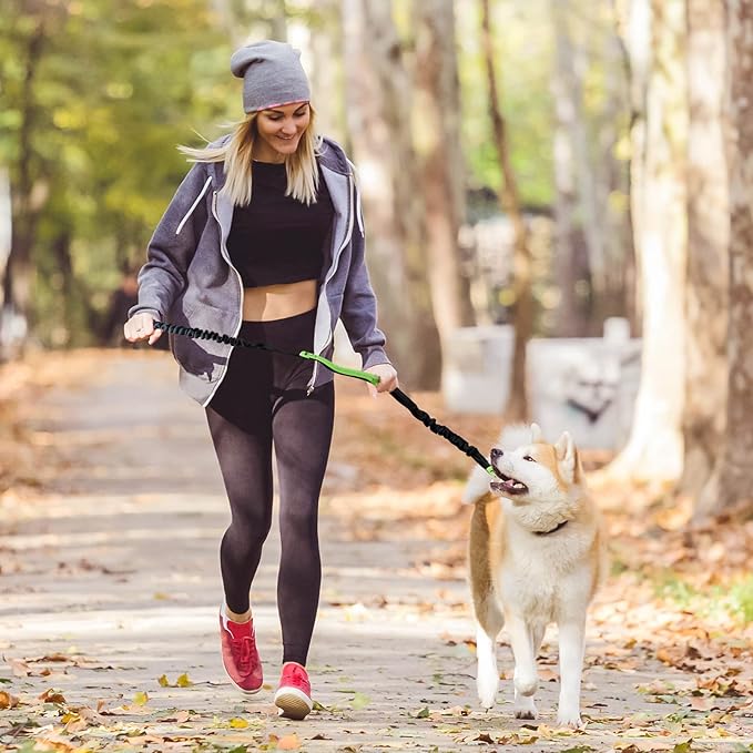 Soft Control Dog Leash for Relaxed Walks Without Jerking - Esilora