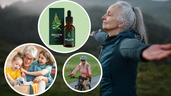 Mulleinextrakt – avgifta dina lungor på naturlig väg