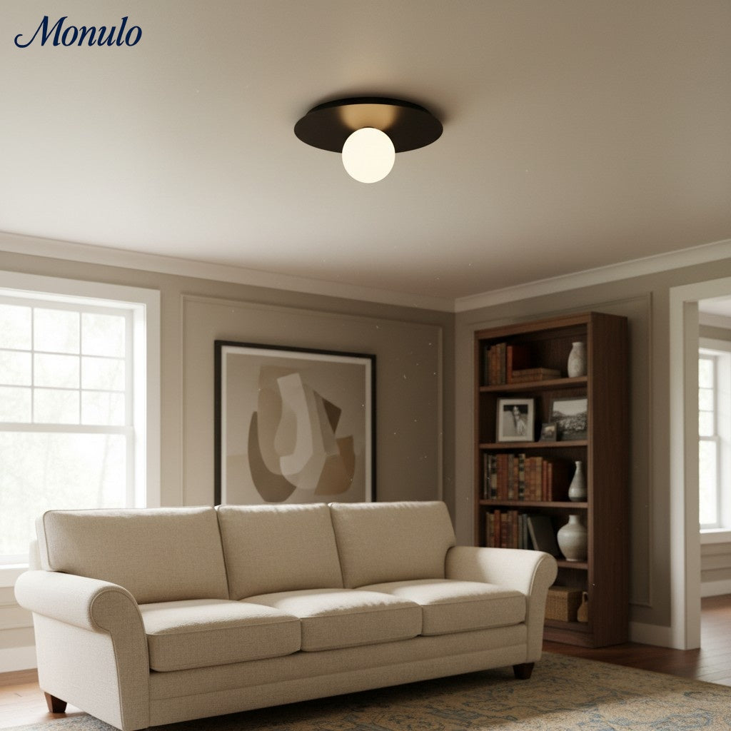 Rivolence Elegant Ring-Silhouette Nordic Wall/ Ceiling Light for Living Room | Esilora