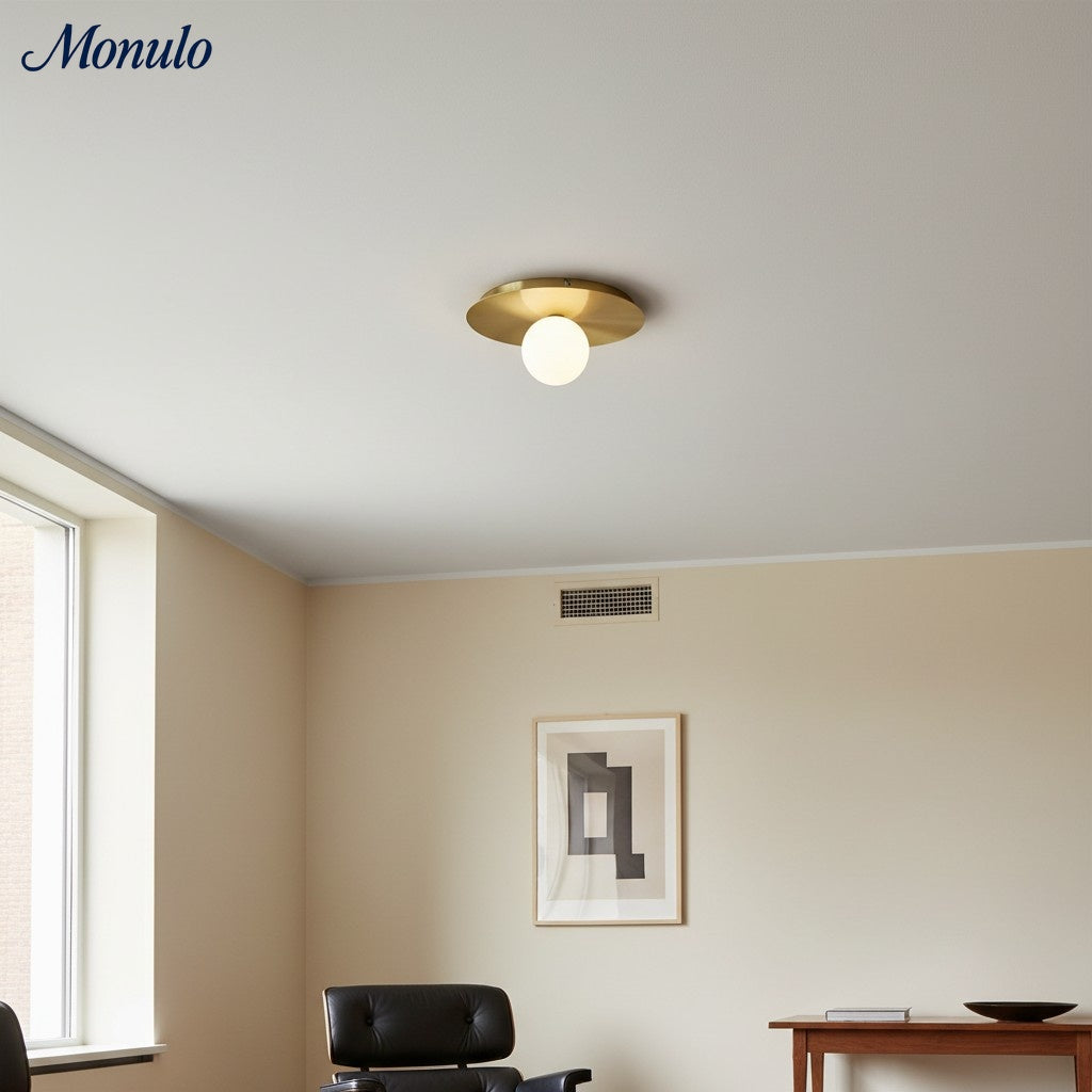 Rivolence Elegant Ring-Silhouette Nordic Wall/ Ceiling Light for Living Room | Esilora