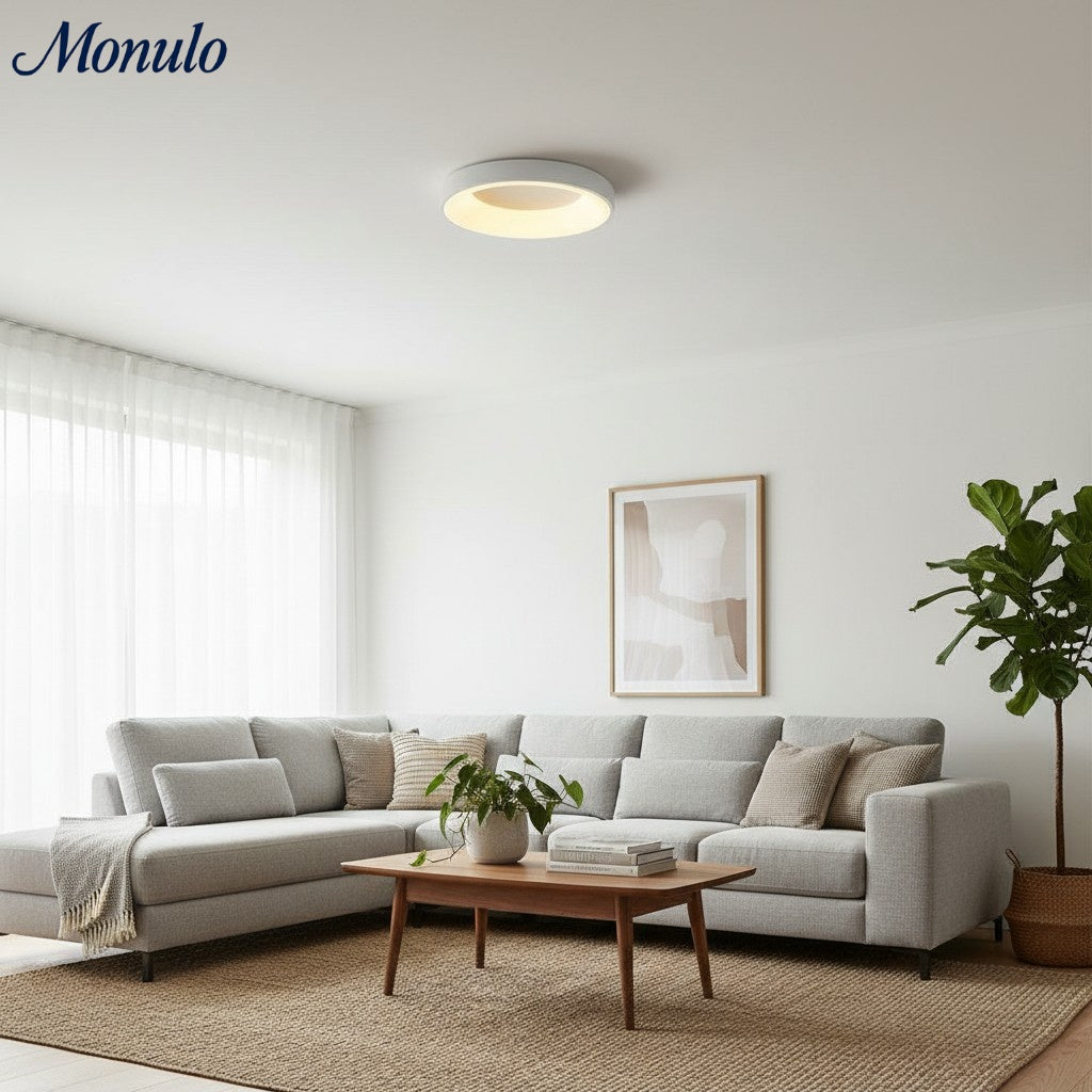 Lumiflexa Sleek Circle Ceiling Lamp - Minimalist Design for Modern Living Rooms | Esilora