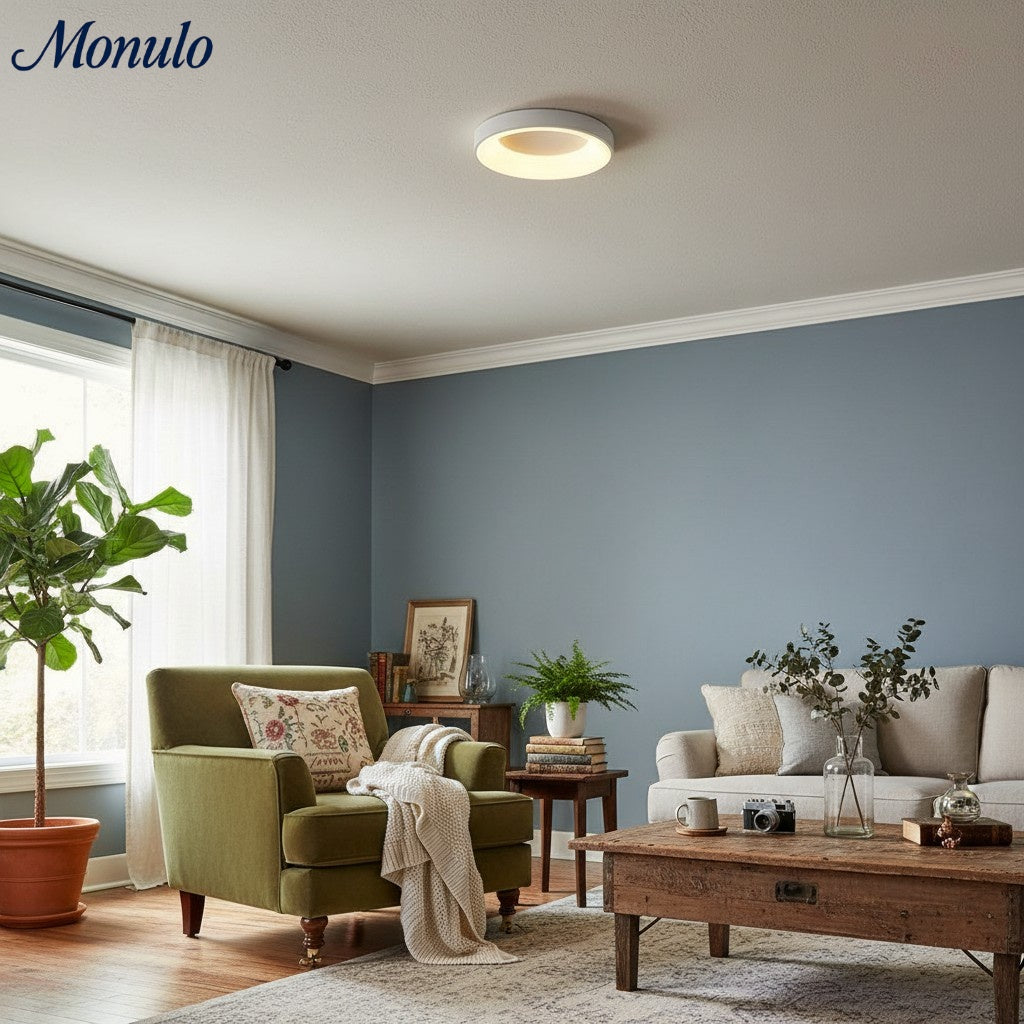 Lumiflexa Sleek Circle Ceiling Lamp - Minimalist Design for Modern Living Rooms | Esilora
