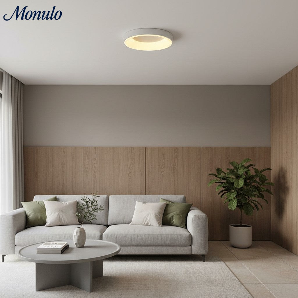 Lumiflexa Sleek Circle Ceiling Lamp - Minimalist Design for Modern Living Rooms | Esilora