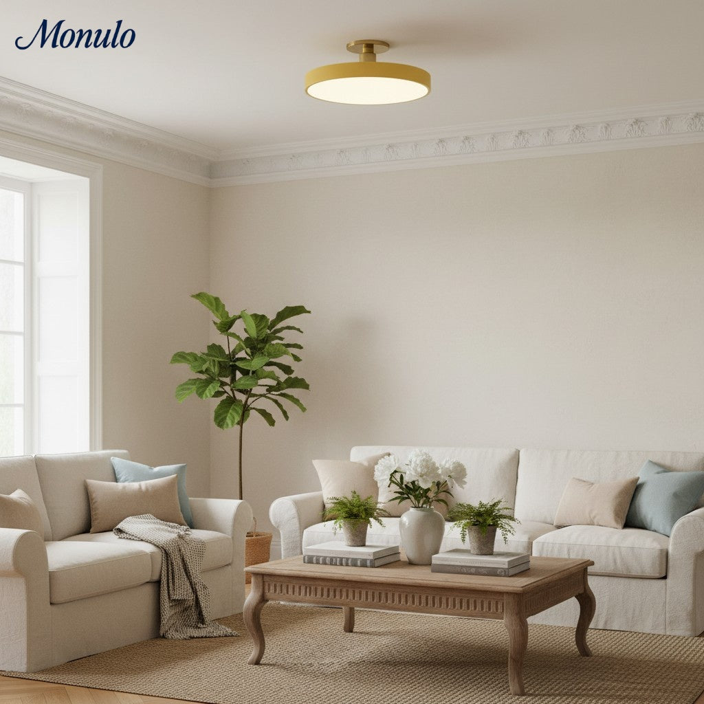 Lumiflexa Round Minimalist Flush Mount Ceiling Light - Contemporary Design for Hallway and Office | Esilora