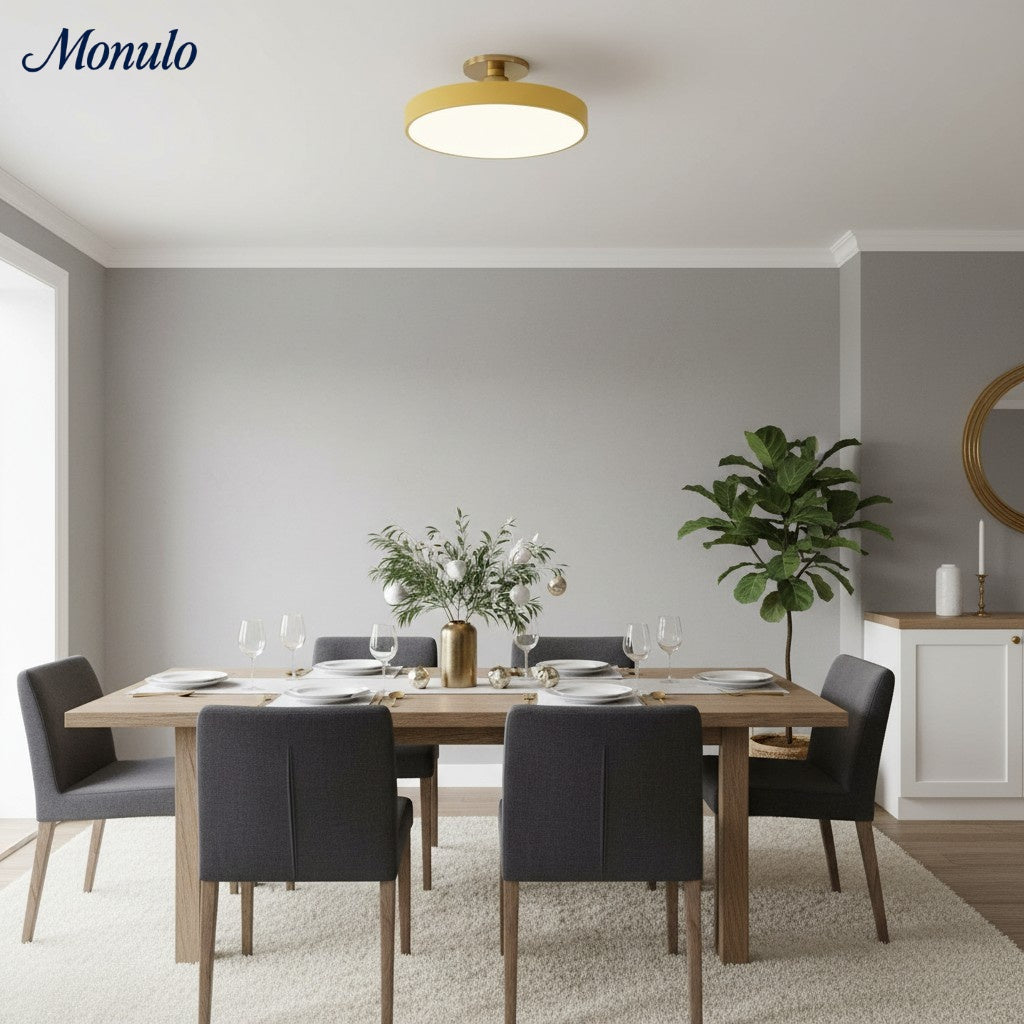 Lumiflexa Round Minimalist Flush Mount Ceiling Light - Contemporary Design for Hallway and Office | Esilora