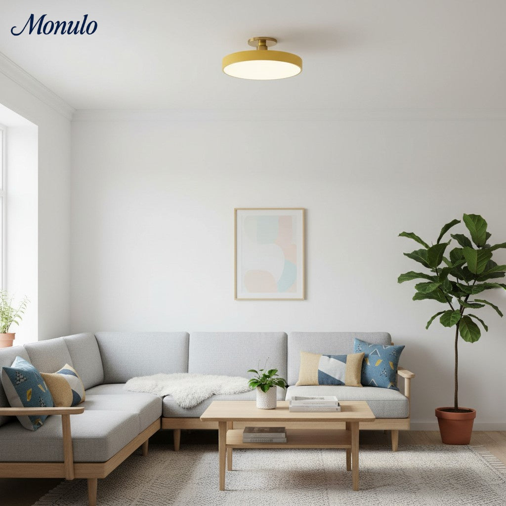 Lumiflexa Round Minimalist Flush Mount Ceiling Light - Contemporary Design for Hallway and Office | Esilora