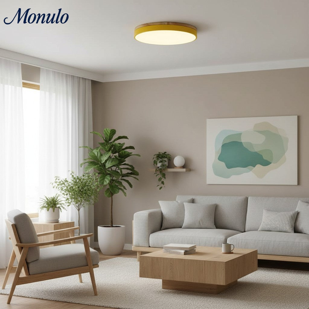 Lumiflexa Sleek Profile Modern Ceiling Lamp - Scandinavian Design for Bedroom and Kitchen | Esilora