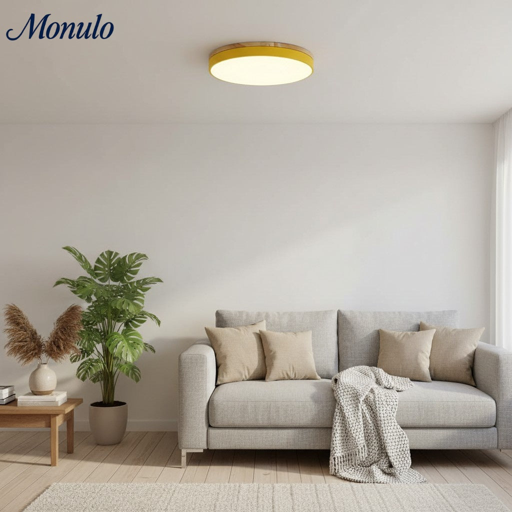 Lumiflexa Sleek Profile Modern Ceiling Lamp - Scandinavian Design for Bedroom and Kitchen | Esilora