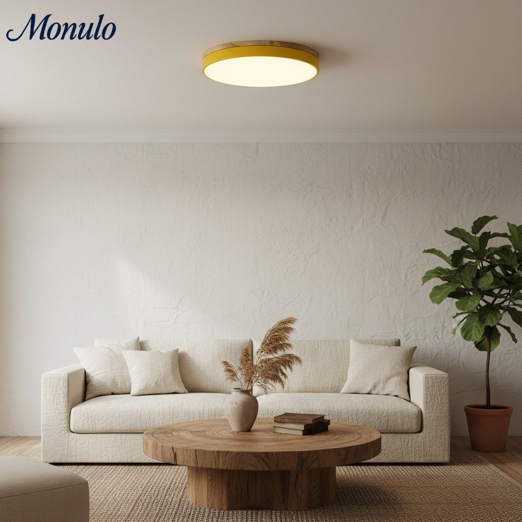 Lumiflexa Sleek Profile Modern Ceiling Lamp - Scandinavian Design for Bedroom and Kitchen | Esilora