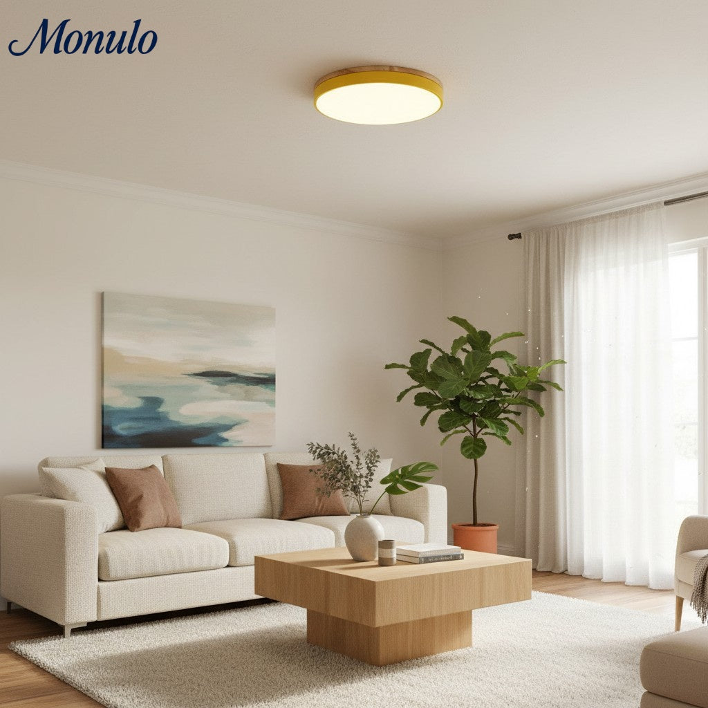 Lumiflexa Sleek Profile Modern Ceiling Lamp - Scandinavian Design for Bedroom and Kitchen | Esilora