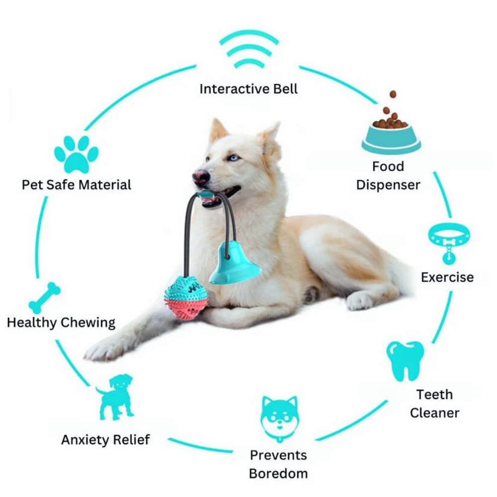 Suction Cup Dog Toy — Chew, Tug & Interactive Play 񟿿