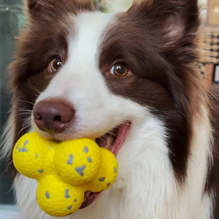 ActivePaw Interactive Dog Ball — Unpredictable Bounce Toy