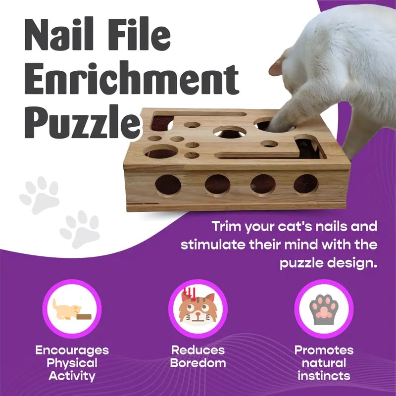 Stress-Free Nail Care for Cats - Fun Grooming Experience - Esilora