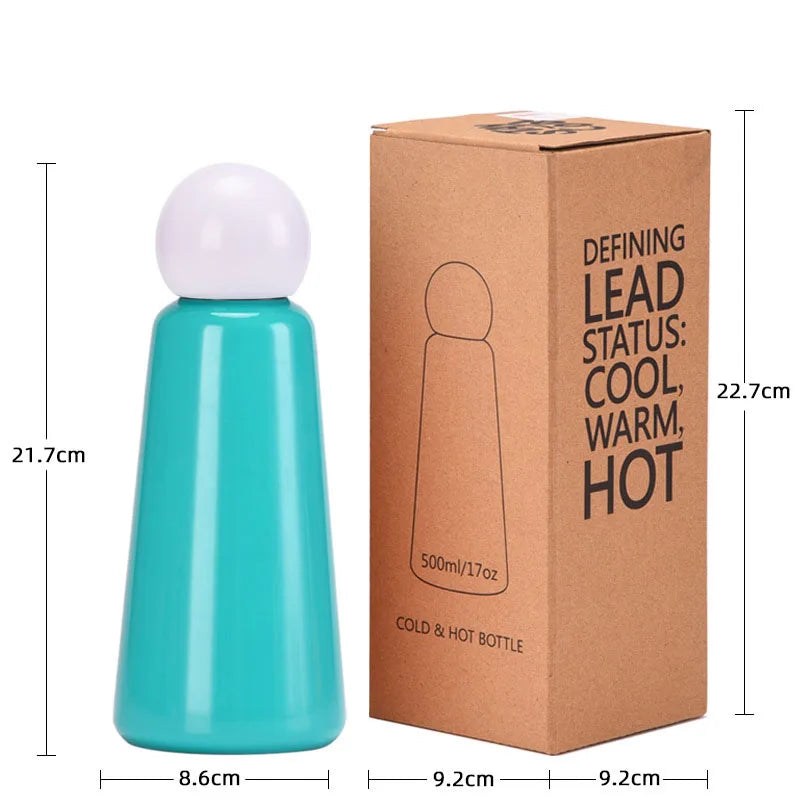 Insulated Water Bottle for All-Day Temperature Control