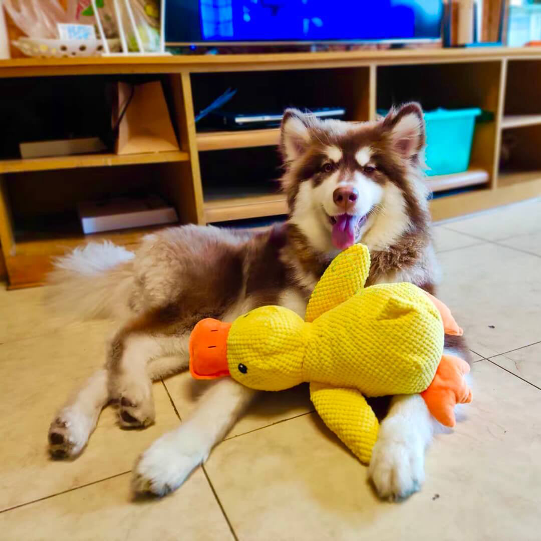 Soft Calming Dog Toy for Comfort and Mental Stimulation - Esilora