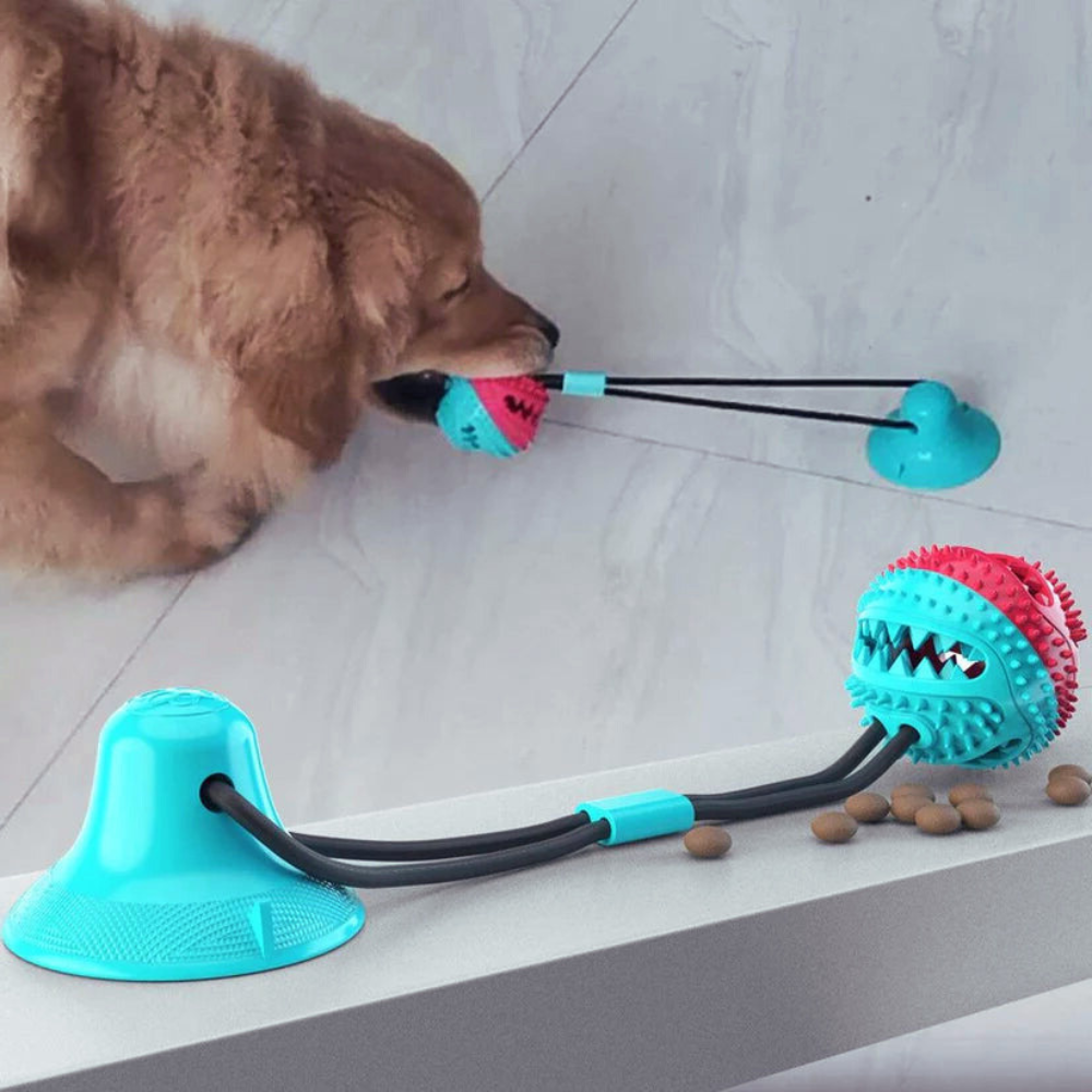 Suction Cup Dog Toy — Chew, Tug & Interactive Play 񟿿