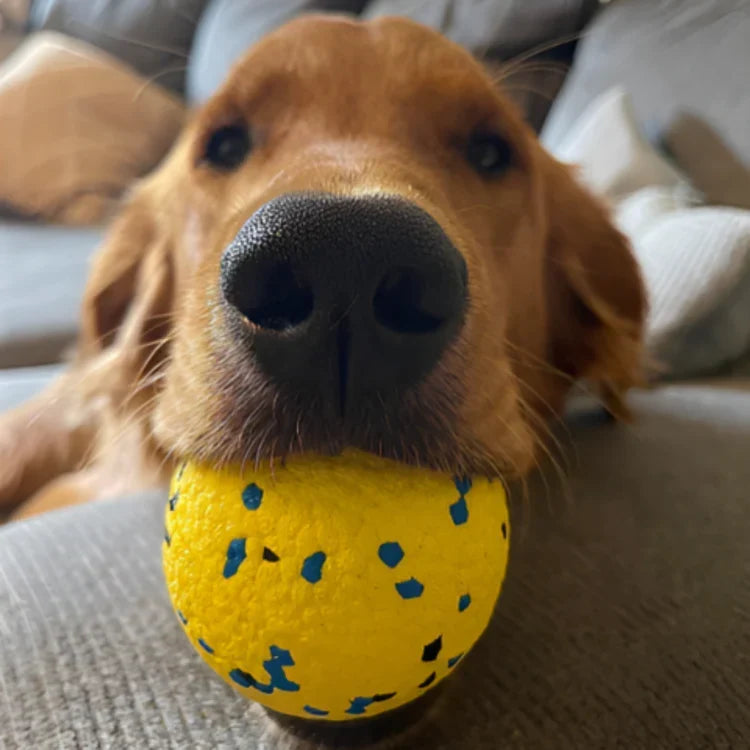 ActivePaw Interactive Dog Ball — Unpredictable Bounce Toy