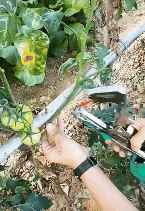 Plant Ties for Gardening Tasks - Esilora