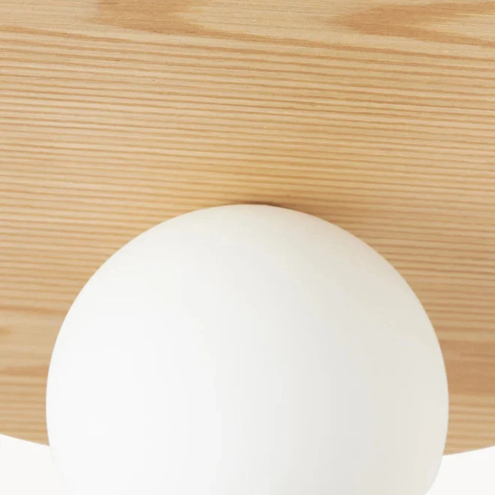 Rivolence Elegant Ring-Silhouette Nordic Wall/ Ceiling Light for Living Room | Esilora