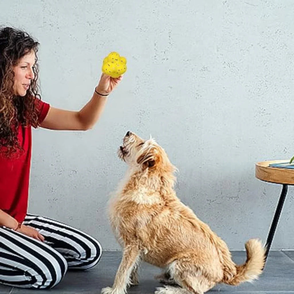 ActivePaw Interactive Dog Ball — Unpredictable Bounce Toy