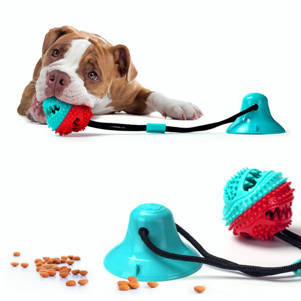 Suction Cup Dog Toy — Chew, Tug & Interactive Play 񟿿
