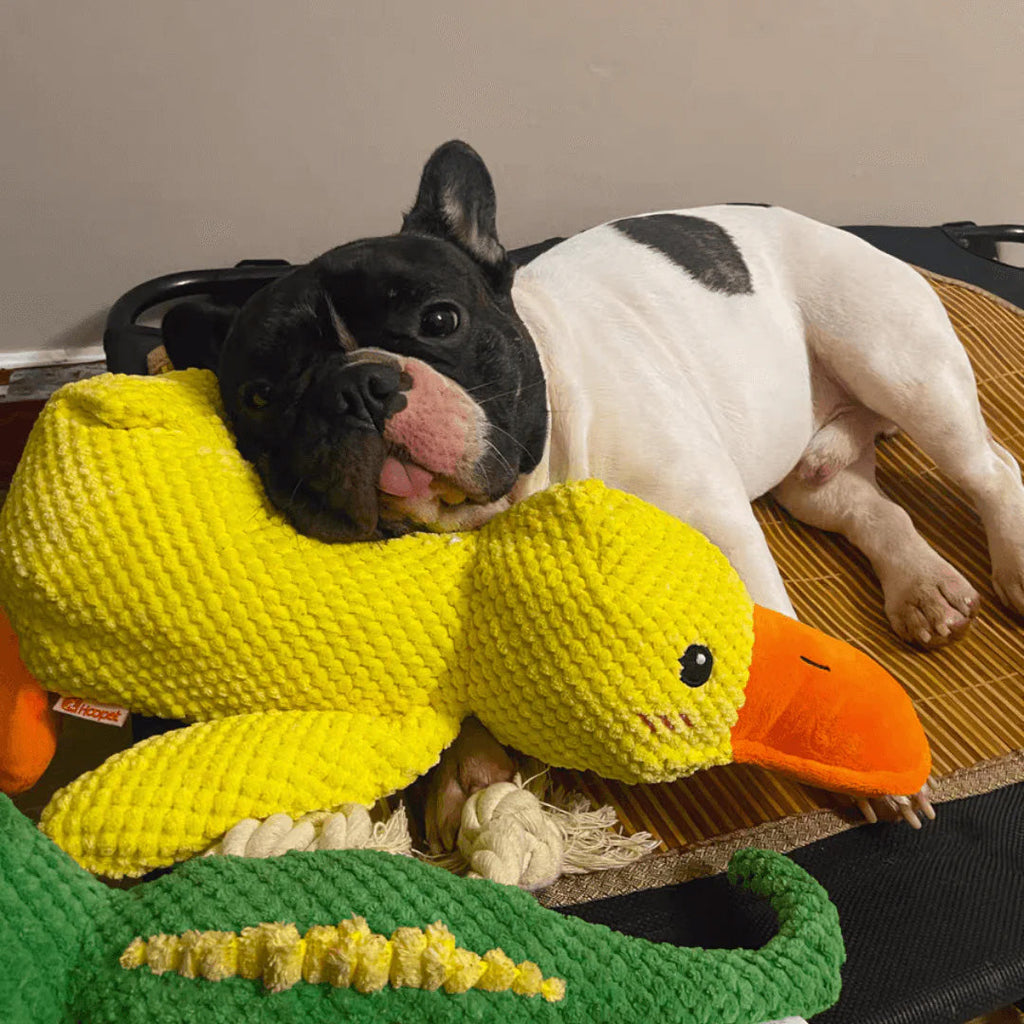 Soft Calming Dog Toy for Comfort and Mental Stimulation - Esilora