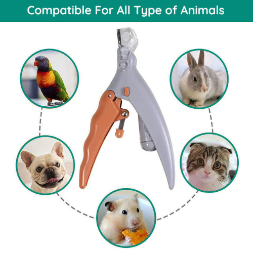 Foarfecă LEDPrecision | clește profesional pentru tăiat unghiile animalelor - Lumină LED, senzori rapizi