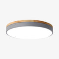 Lumiflexa Sleek Profile Modern Ceiling Lamp - Scandinavian Design for Bedroom and Kitchen | Esilora