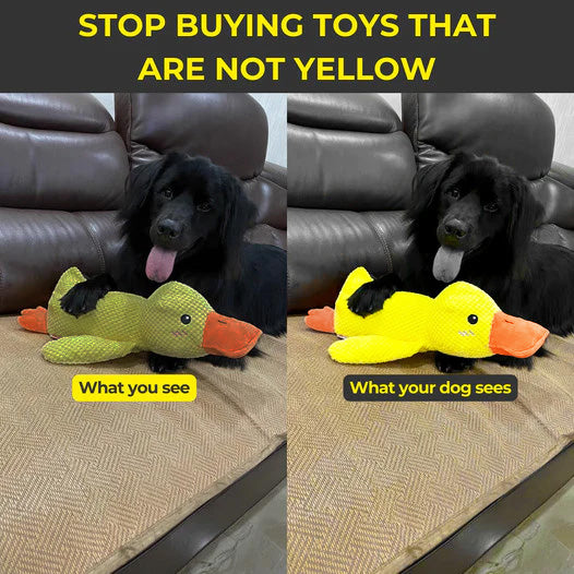 Soft Calming Dog Toy for Comfort and Mental Stimulation - Esilora