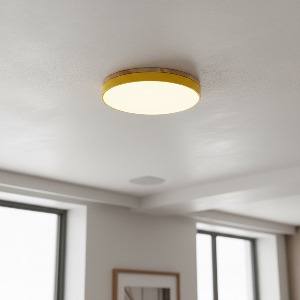 Lumiflexa Sleek Profile Modern Ceiling Lamp - Scandinavian Design for Bedroom and Kitchen | Esilora