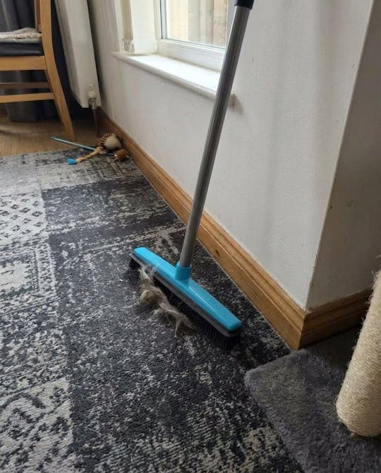 Rolka do usuwania sierści zwierząt – Usuń sierść i ciesz się domem bez włosów - Esilora