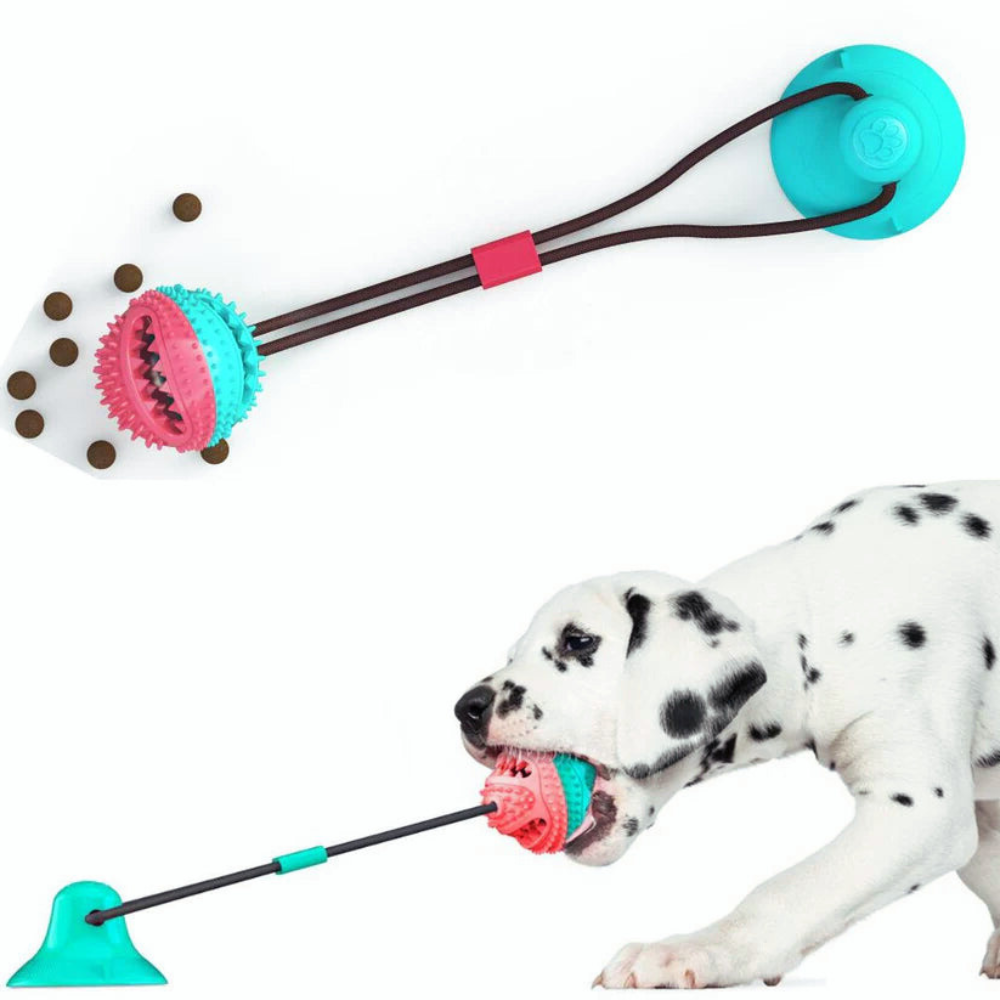Suction Cup Dog Toy — Chew, Tug & Interactive Play 񟿿
