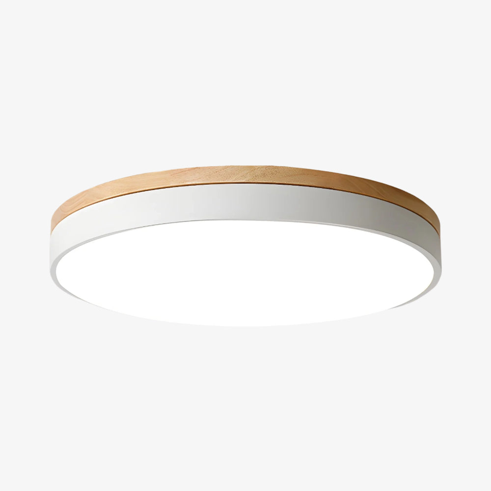 Lumiflexa Sleek Profile Modern Ceiling Lamp - Scandinavian Design for Bedroom and Kitchen | Esilora