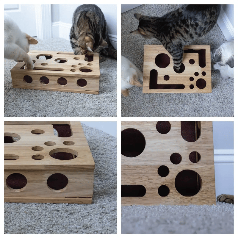 Stress-Free Nail Care for Cats - Fun Grooming Experience - Esilora