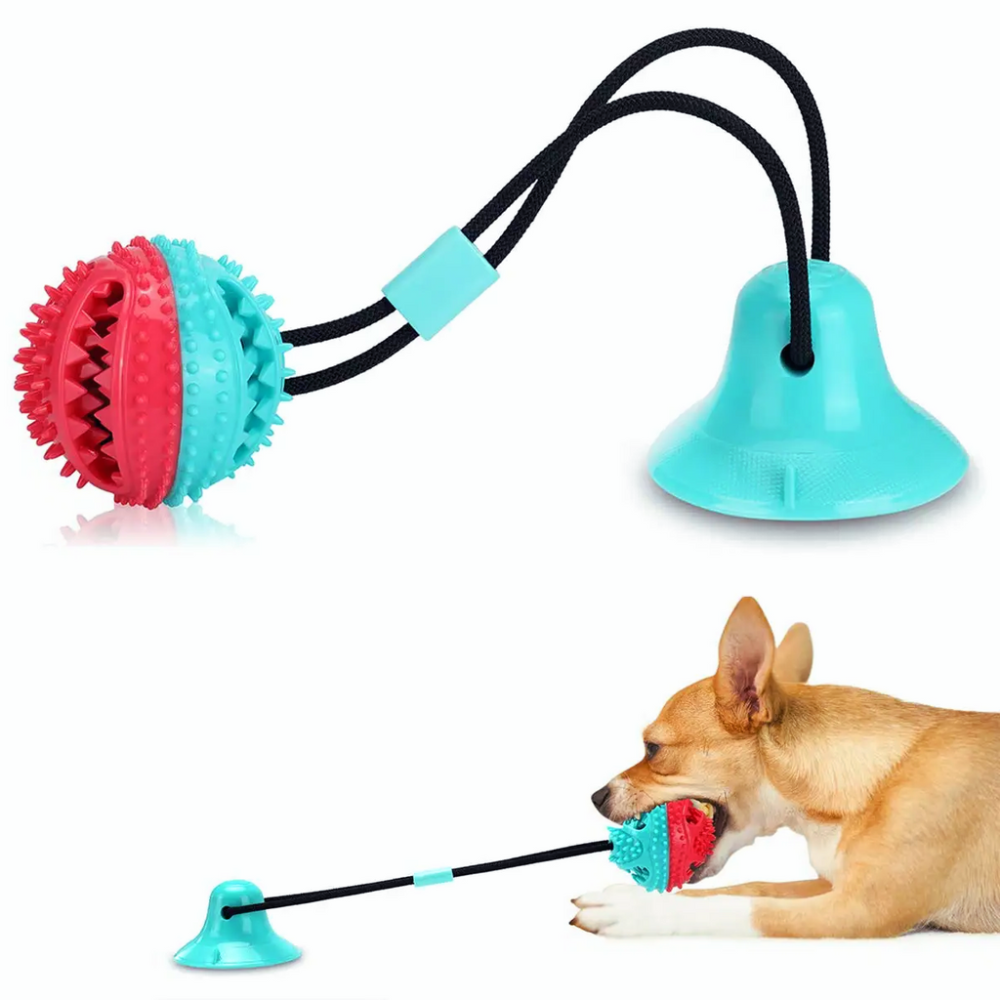 Suction Cup Dog Toy — Chew, Tug & Interactive Play 񟿿