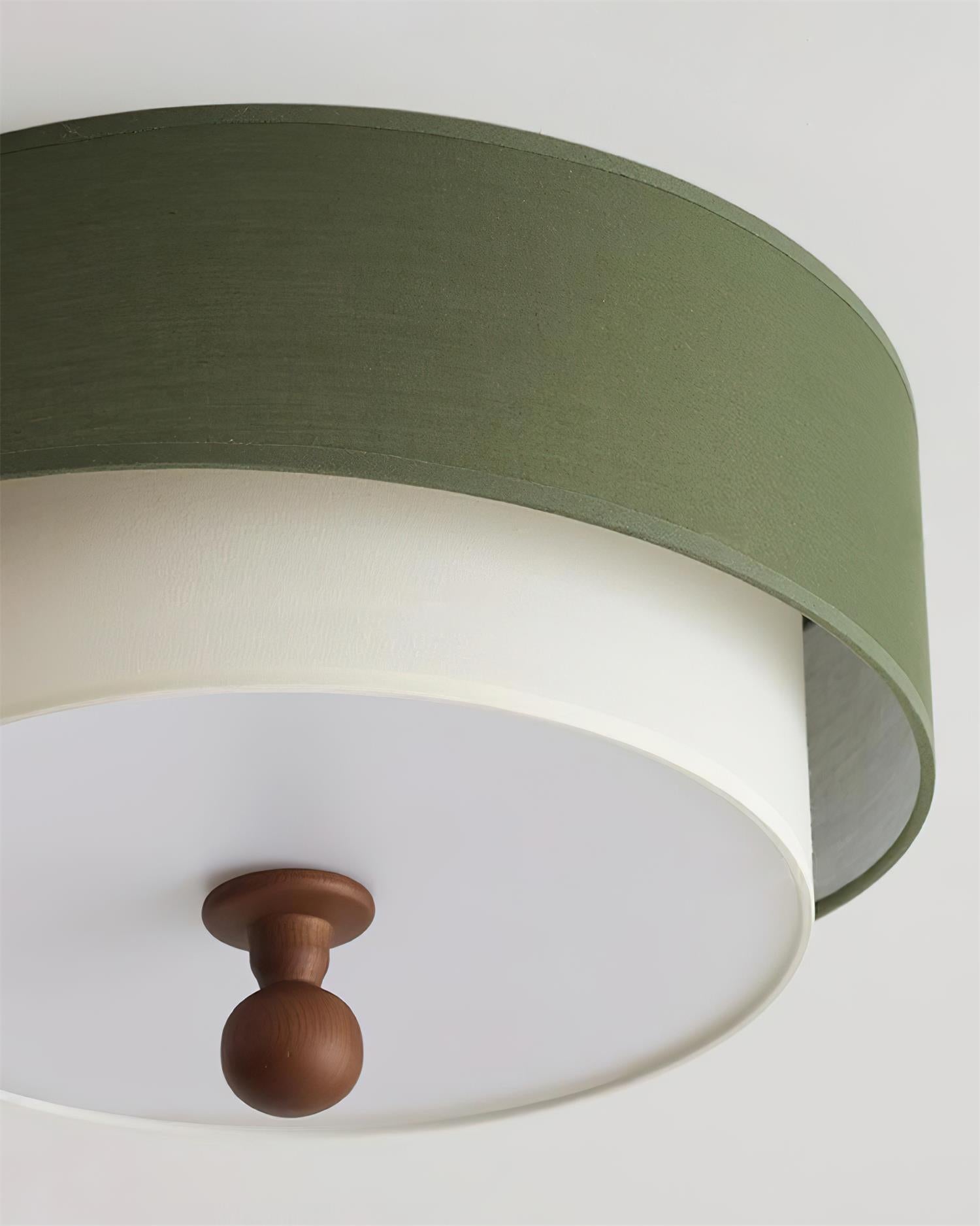 Modern Minimalist Ceiling Lamp Clean Line Flush for Bedroom Living Room | Esilora