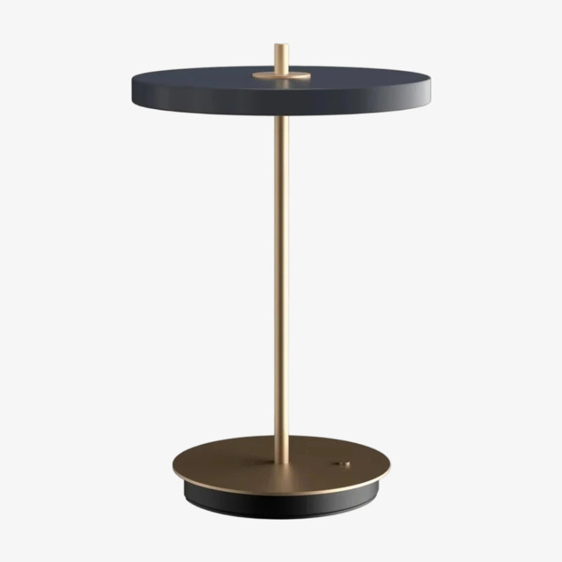 Astris Sculptural Modern Minimalist Metal Table Lamp for Living Room and Office | Esilora
