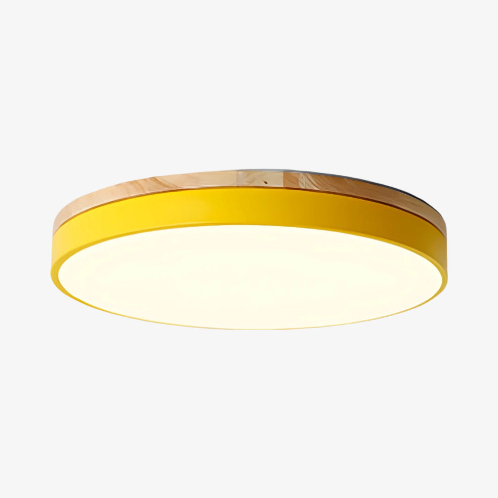 Lumiflexa Sleek Profile Modern Ceiling Lamp - Scandinavian Design for Bedroom and Kitchen | Esilora