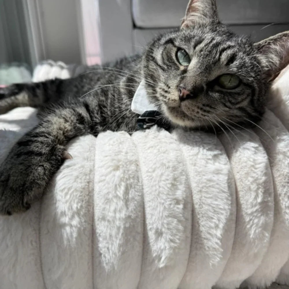 LuxePlush 猫用ソファベッド - 高くなった側面、取り外し可能なカバー