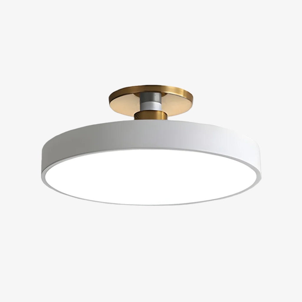Lumiflexa Round Minimalist Flush Mount Ceiling Light - Contemporary Design for Hallway and Office | Esilora