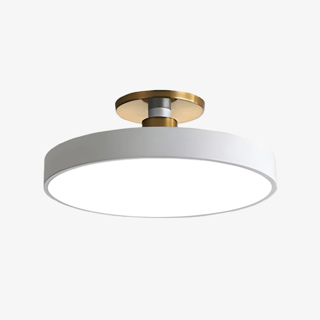 Lumiflexa Round Minimalist Flush Mount Ceiling Light - Contemporary Design for Hallway and Office | Esilora