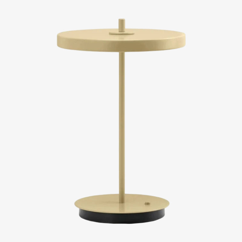 Astris Sculptural Modern Minimalist Metal Table Lamp for Living Room and Office | Esilora