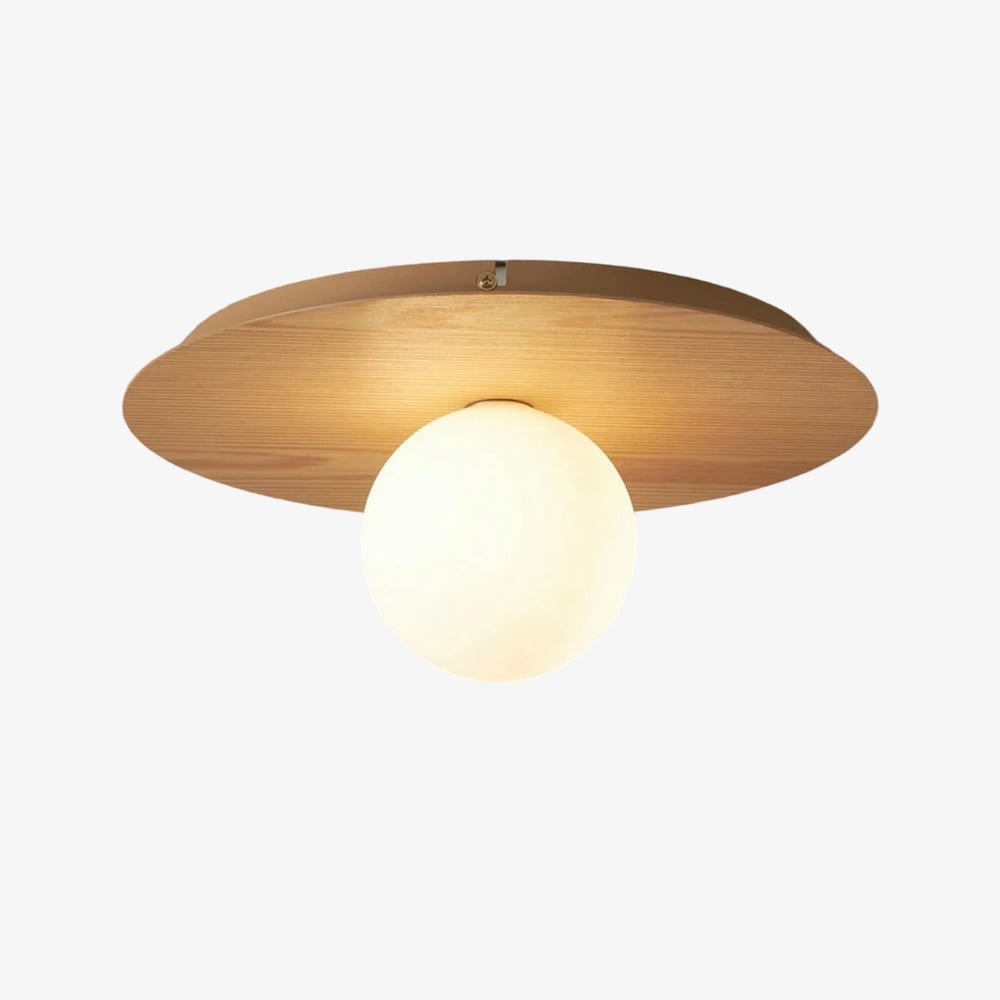 Rivolence Elegant Ring-Silhouette Nordic Wall/ Ceiling Light for Living Room | Esilora