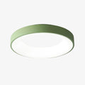Lumiflexa Sleek Circle Ceiling Lamp - Minimalist Design for Modern Living Rooms | Esilora