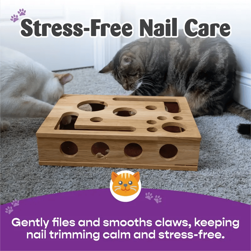 Stress-Free Nail Care for Cats - Fun Grooming Experience - Esilora