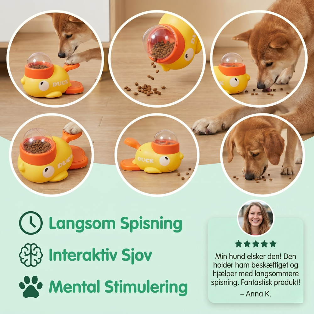 Interaktivní krmítko pro psy a kočky – design FeediDuck – Esilora